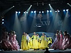 Гала – концерт переможців XXV фестивалю дитячої та юнацької творчості «Срібне Джерельце»