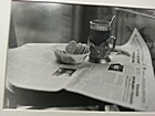 Фотовиставка Олександра Бабуркіна "Утренний свет"