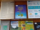 «Кращої, ніж рідна мова, мови не буває!»