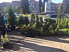 "Садиба"