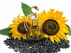 Цех по виробництву нерафінованої (соняшникової) олії ФОП Зіньковського В.О.