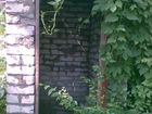 вулиця Георга Отса буд. 5