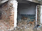 вулиця Ватутіна буд. 52