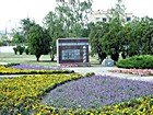 Пам"ятний знак воїнам-інтернаціоналістам