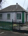 Протестанти, Свідки Єгови