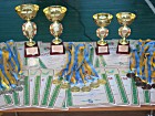 VІІ відкритий міський командний турнір з дзюдо серед юнаків 2007-2008 р.н. на Кубок народного депутата України Костянтина Павлова.