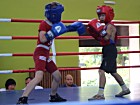 Відкрита першість КПНЗ "Дитячо-юнацька спортивна школа № 7" з боксу