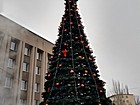 Театралізоване відкриття ялинкового містечка Саксаганського району "12 місяців Нового Року"