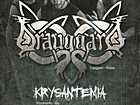 виступ гуртів «DRAUGGARD» (Росія), «KRYSANTEMIA» (Італія), «SKOGENSTROM» (м. Дніпропетровськ), «Inkognitum» (м.Запоріжжя)