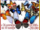 виставка