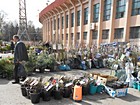 "Зелений ярмарок"