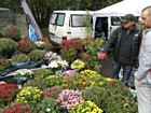 «Квітковий ярмарок»