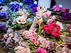 «Зелений світ»