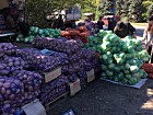 "Золота осінь"