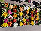 Все для саду та городу