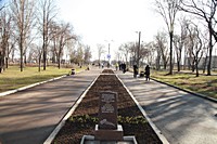 "Парк за центром дитячої та юнацької творчості "Дружба"