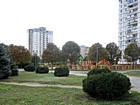 Дитячий майданчик "Джунглі"