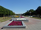 Аллея двухсот каштанів