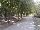 Куточок відпочинку по вул, Десантна