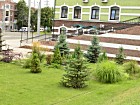 Куточок відпочинку станція Рокувата
